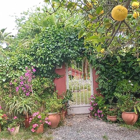 Casa Con Jardin Frente Playa De Burriana Villa Oda fotoğraf