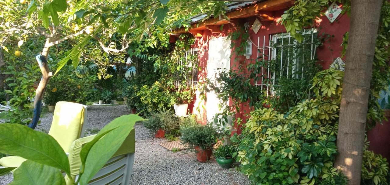 Casa Con Jardin Frente Playa De Burriana Villa Dış mekan fotoğraf