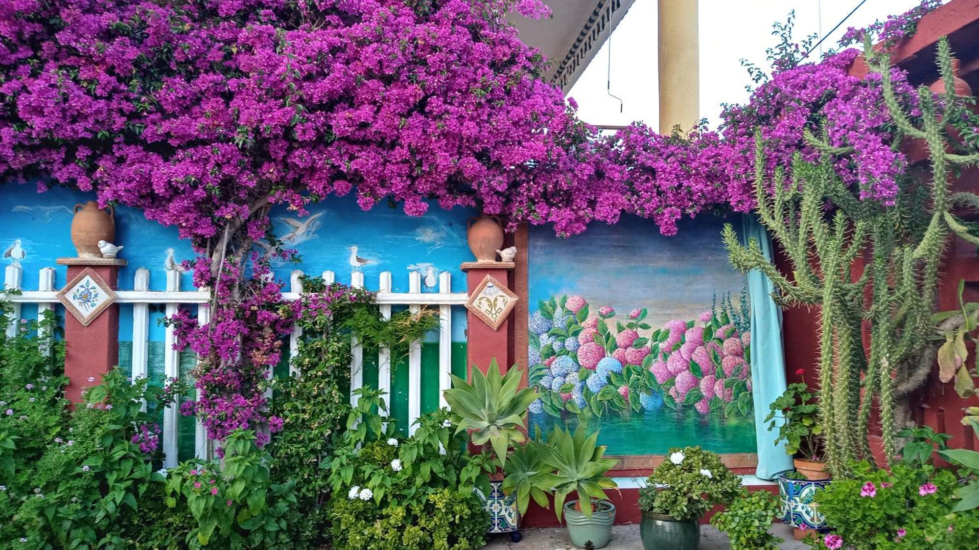 Casa Con Jardin Frente Playa De Burriana Villa Oda fotoğraf