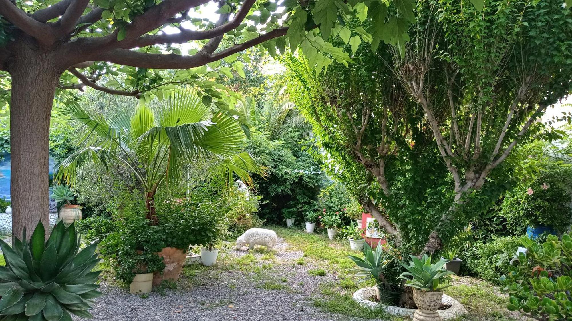 Casa Con Jardin Frente Playa De Burriana Villa Oda fotoğraf