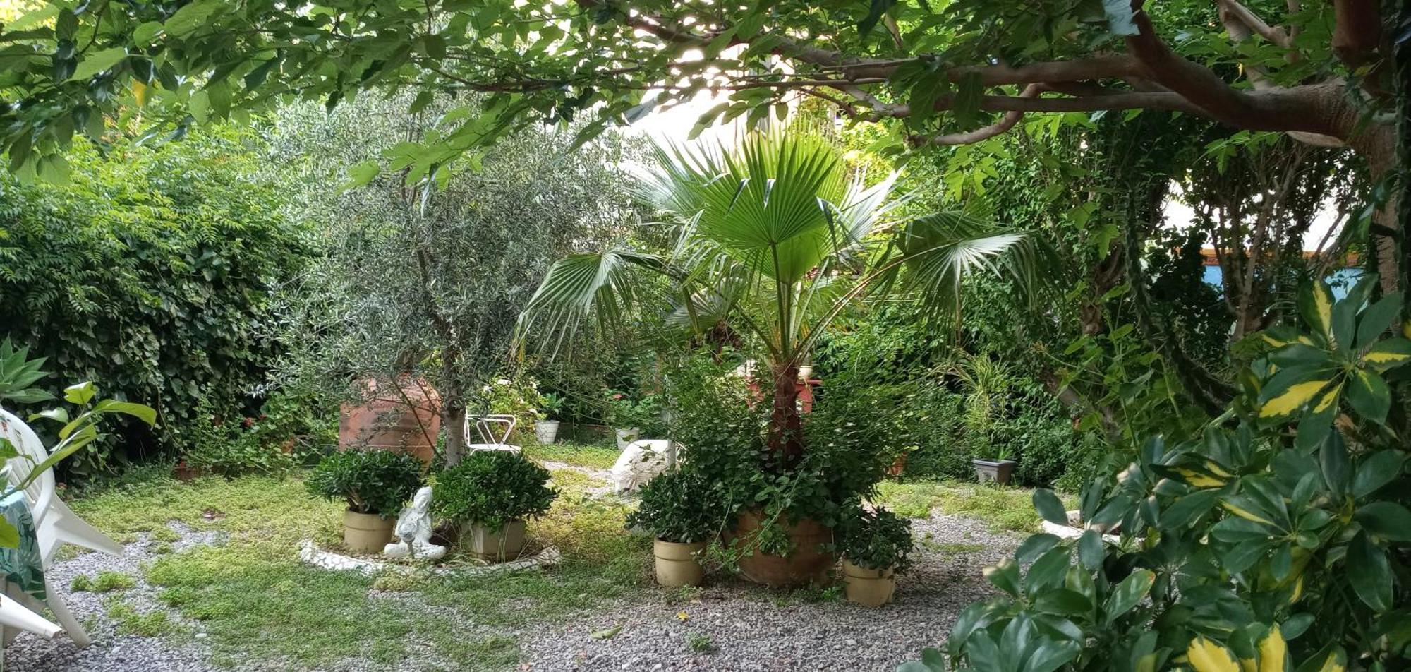 Casa Con Jardin Frente Playa De Burriana Villa Oda fotoğraf