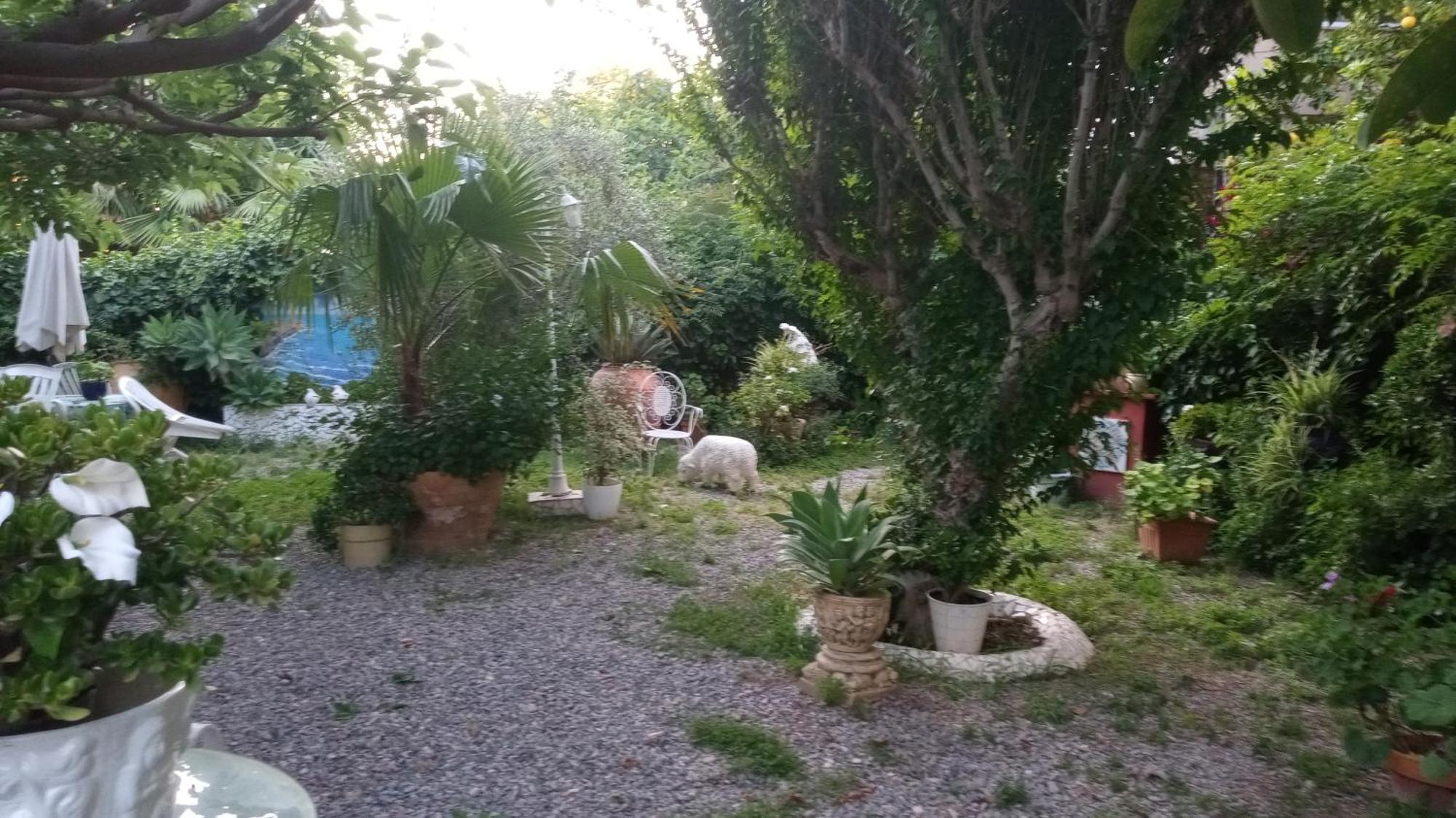 Casa Con Jardin Frente Playa De Burriana Villa Oda fotoğraf