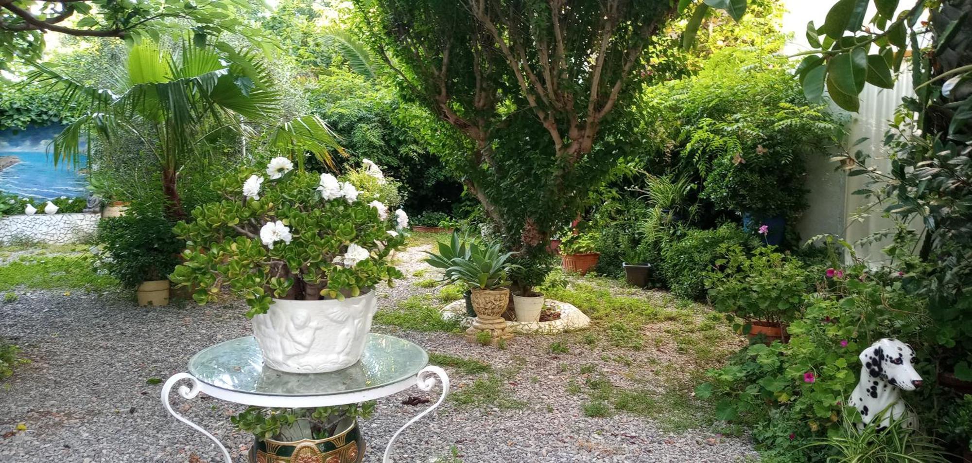 Casa Con Jardin Frente Playa De Burriana Villa Oda fotoğraf