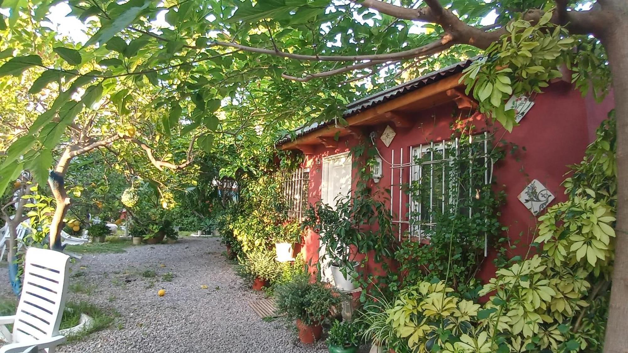 Casa Con Jardin Frente Playa De Burriana Villa Oda fotoğraf
