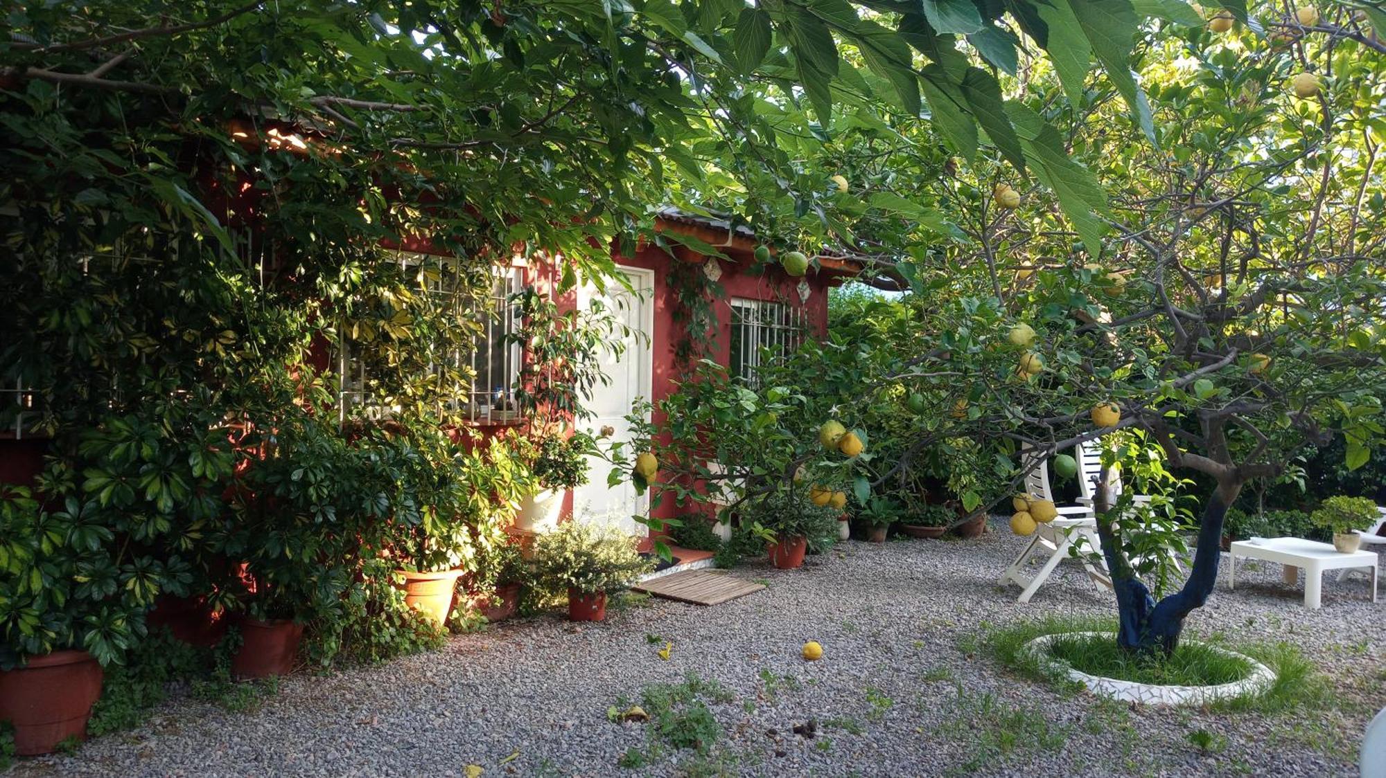 Casa Con Jardin Frente Playa De Burriana Villa Oda fotoğraf
