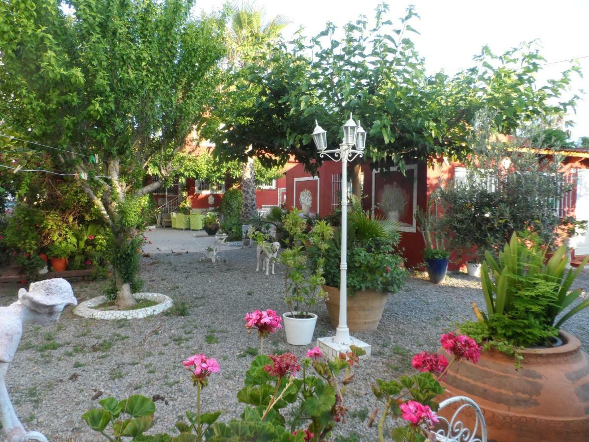 Casa Con Jardin Frente Playa De Burriana Villa Dış mekan fotoğraf