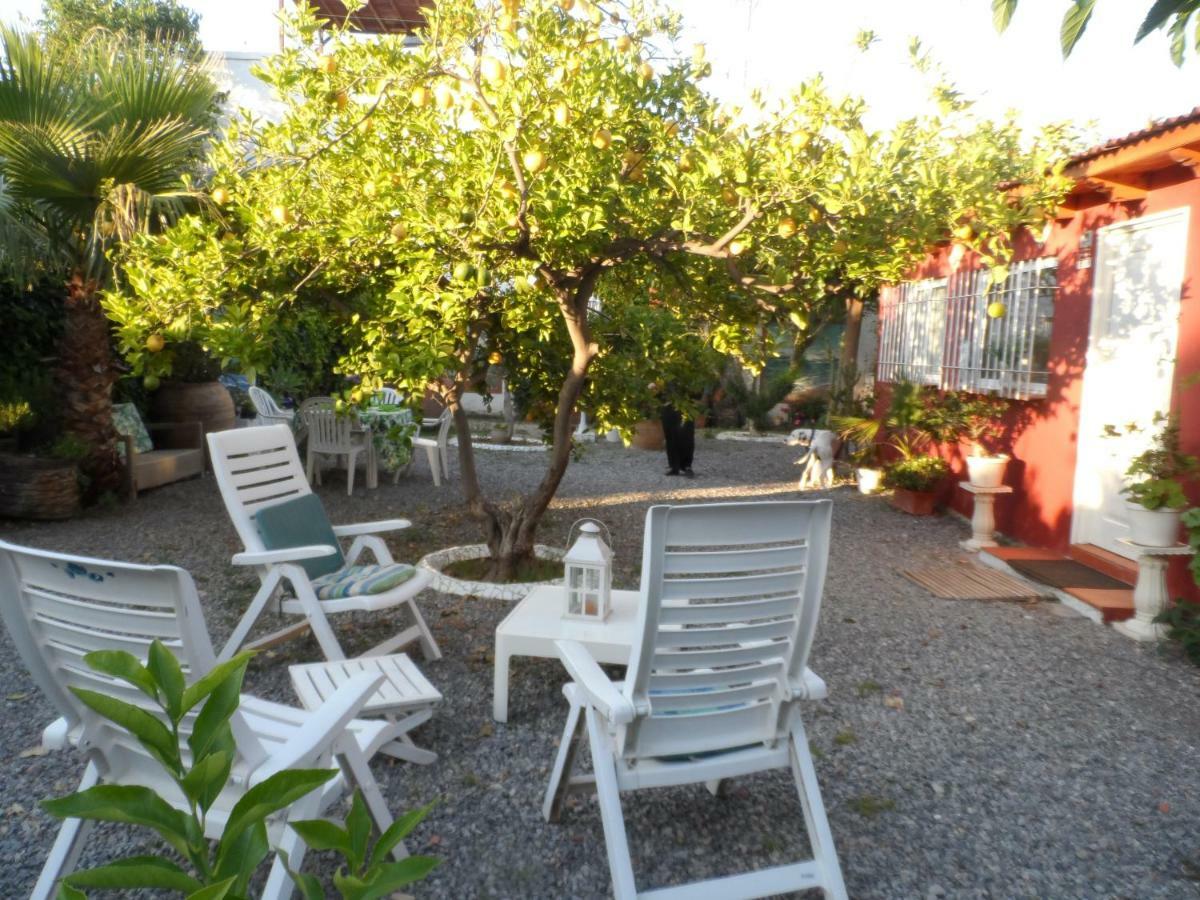 Casa Con Jardin Frente Playa De Burriana Villa Dış mekan fotoğraf