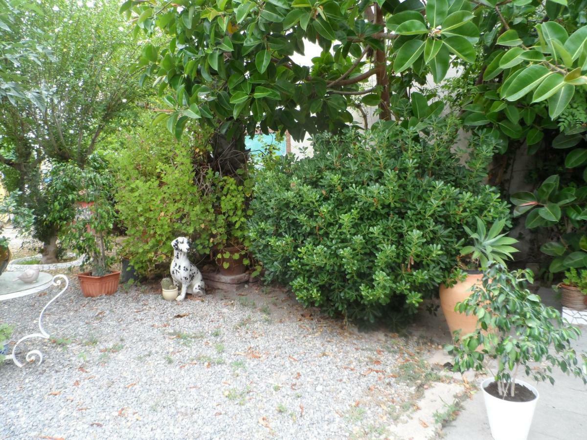 Casa Con Jardin Frente Playa De Burriana Villa Dış mekan fotoğraf
